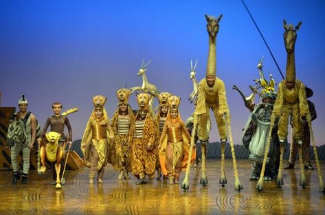 Lion King Theatre, Lion King Musical, Lion King Jr, Lion King Broadway, King Picture, Lion King 2, King Photography, Musical Plays, Broadway Theatre