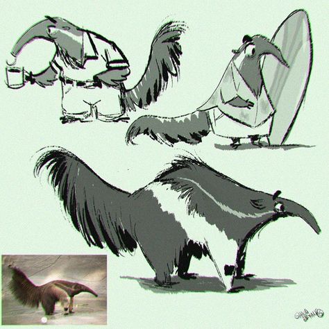 Here are some anteaters blame @blythe_russo :D Giant Anteater, Wolverine Art, Animation Art Sketches, 캐릭터 드로잉, Character Design Animation, Animal Sketches, Cartoon Character Design, Cute Animal Drawings, Character Design References