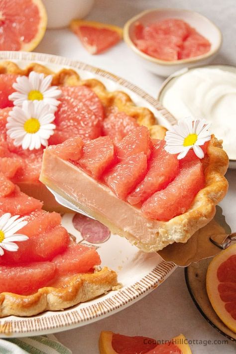 Create the perfect dessert for summer and Thanksgiving with this simple homemade grapefruit pie recipe. Made with sweetened condensed milk, a buttery pie crust or graham cracker crust, it’s filled with a creamy tart filling and grapefruit slices on top will have you swooning. The pie is full of flavor and a refreshing treat! It’s a great treat to eat with the family on holidays and celebrations, a lovely alternative to traditional pies such as lemon and key lime pie. | CountryHillCottage.com Raspberry Key Lime Pie, Grapefruit Pie Recipes, Grapefruit Pie, Grapefruit Dessert, Grapefruit Tart, Fruit Pie Recipe, Dessert For Summer, Grapefruit Recipes, Healthy Cakes