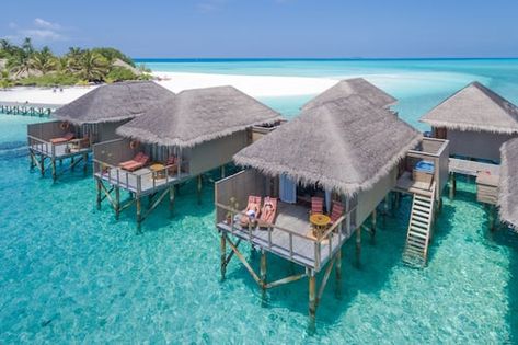 Book Meeru Island Resort & Spa in Meerufenfushi | Hotels.com Meeru Island Maldives, Meeru Maldives, Resort Island, Maldives Hotel, Beach Walks, Maldives Resort, Maldives Island, Overwater Bungalows, Family Resorts