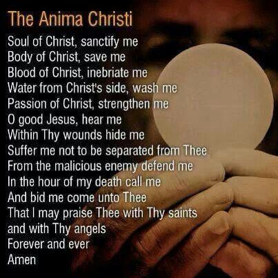 The body of Christ!! Anima Christi, Catholic Communion, Communion Prayer, Holy Eucharist, Eucharistic Adoration, Blessed Sacrament, Blood Of Christ, The Eucharist, Beautiful Prayers