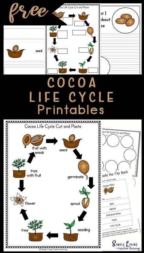 Cocoa Life Cycle Printables All About Chocolate, Chocolate Projects For School, Chocolate Unit Study, Chocolate Day Activities For Kids, Chocolate Crafts For Kids, Chocolate Activities For Kids, Chocolate Activities, International Chocolate Day, Cocoa Plant