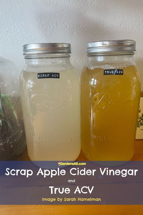 How To Make Homemade Apple Cider Vinegar, Apple Cider Vinegar How To Make, Apple Cider Vinegar Recipes How To Make, Apple Vinegar Recipes, Homemade Acv Recipe, Home Made Apple Cider Vinegar Recipe, How To Make Apple Cider Vinegar Homemade, Making Apple Cider Vinegar, Diy Apple Cider Vinegar With The Mother