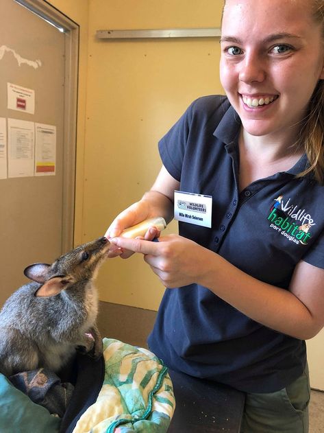 Volunteer With Animals, Wildlife Rehabilitation Career, Wildlife Rehabilitation Aesthetic, Vetinary Nurse, Animal Shelter Volunteer Aesthetic, Volunteering Animals, Jobs With Animals, Wildlife Vet, Animal Jobs