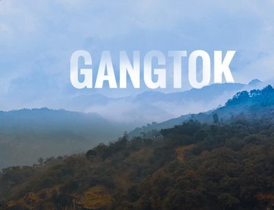 Local Guides Connect - Gorgeous Gangtok!!! - Local Guides Connect North Sikkim, Gangtok, Scenic View, Local Guide, Hotel Room, Last Month, Scenic Views, The Window, Hotels Room