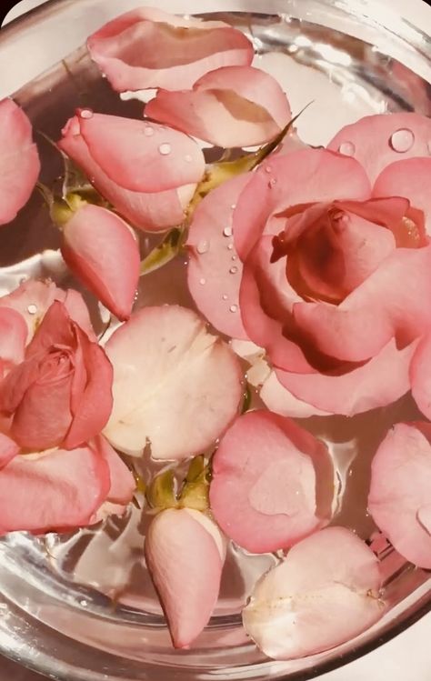 Water Packaging, Water Aesthetic, Pastel Pink Aesthetic, Rose Photography, Rose Water, Pink Aesthetic, Pastel Pink, Lab, Roses