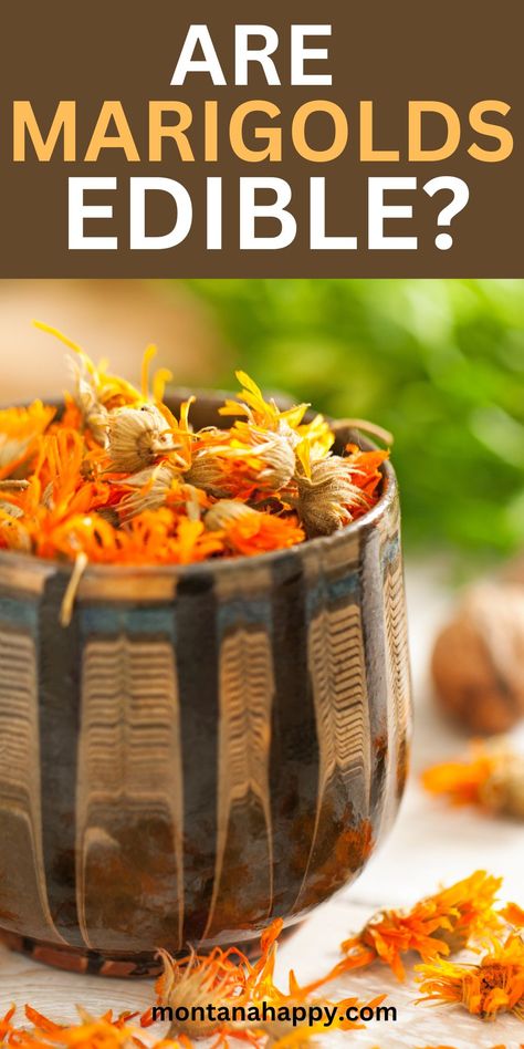 Are Marigolds Edible? + Marigold Recipes | Montana Happy Marigold Uses Witch, Edible Marigolds Recipes, Marigold Tea Recipe, How To Dry Marigold Flowers, Drying Marigold Flowers, Dried Marigold Uses, Drying Marigolds, Marigold Recipes, Marigold Uses