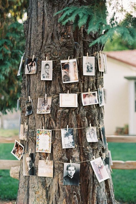 clothespin photos tree diy wedding ceremony decorations Creative Wedding Guest Books, Wedding Photo Display, Photo Garland, Idee Babyshower, Short Note, Deco Champetre, Barn Wedding Photography, Display Photos, Outdoor Wedding Decorations