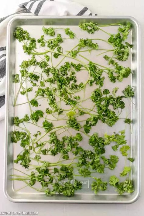 Dry Parsley In Oven, Harvesting Parsley How To, How To Dry Fresh Parsley, How To Dry Parsley In Oven, Dry Parsley How To, Drying Parsley In Oven, Dried Parsley Recipes, How To Use Parsley, Storing Fresh Parsley