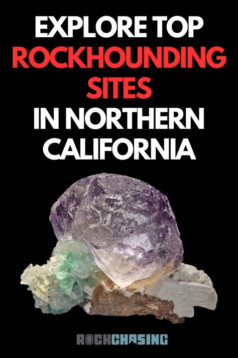 Looking for tips on how to be successful in rockhounding? Explore our guide to rockhounding in Northern California and become a pro! Fluorite on Feldspar photo provided by Saphira Minerals Rockhounding California, Sedimentary Rocks, Central California, Sacramento California, Minerals And Gemstones, Rock Hounding, Rock Solid, Be Successful, Crystals Minerals