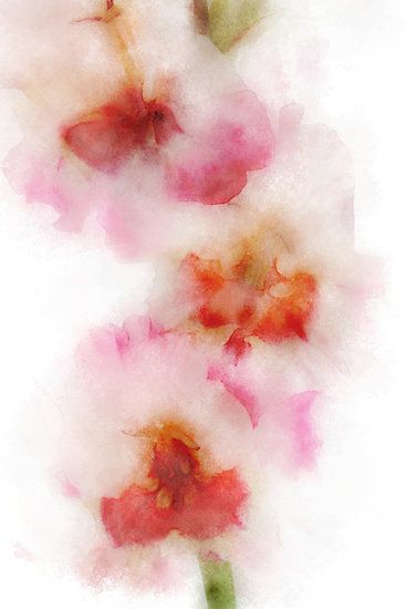 Watercolor Hdr Images, Flower Portraits, 심플한 그림, Fractal Images, Landscape Images, Cocoppa Wallpaper, Random Images, Photoshop Painting, Lily Evans