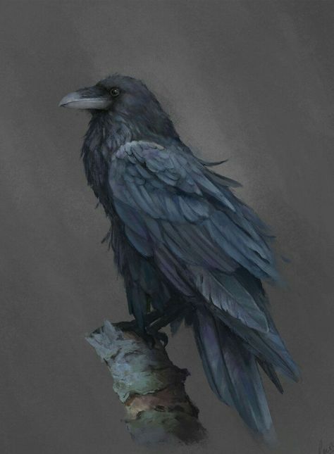 Leesha Hannigan, Raven Reference, Raven Images, Raven Artwork, Crow Painting, Raven Bird, Crow Bird, Crow Tattoo, Crow Art