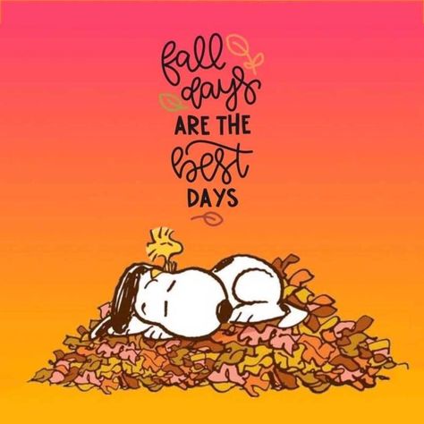 Snoopy Fall, Snoopy Dog, Snoopy Funny, Fall Images, Snoopy Images, Peanuts Cartoon, Snoopy Wallpaper, Snoopy Quotes, Snoopy Pictures