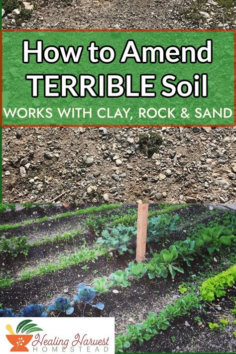 Gardening can be impossible if your soil just isn't up to snuff. This is how my husband and I amended the worst soil in the world! Here's our top 5 tips on how you can amend your soil too. You can have a beautiful garden this summer, so make sure you start off on the right foot! #worms #fixingsoil #badsoil #gardeninghacks #gardening101 Amending Clay Soil, Orchard Garden, Side Yard Landscaping, North Garden, Gardening 101, Clay Soil, Soil Improvement, House Plants Indoor, Growing Herbs