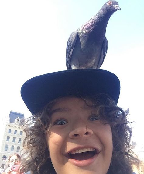 Gaten Matarazzo, Stranger Things Dustin, Stranger Danger, Stranger Things 3, Stranger Things Kids, Stranger Things 2, Stranger Things Actors, Stranger Things Tv, Stranger Things Characters