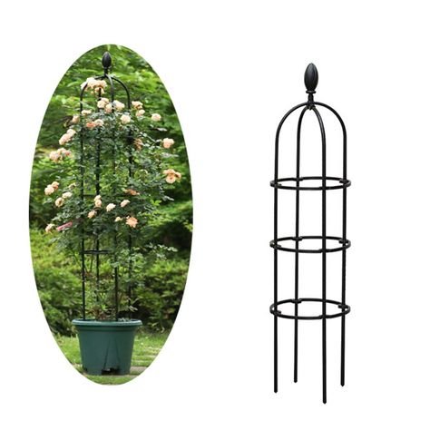 Potted Plants Garden, Flower Support, Plant Cages, Garden Obelisk, Garden Frame, Climbing Vines, Plants Garden, Container Garden, Plant Supports