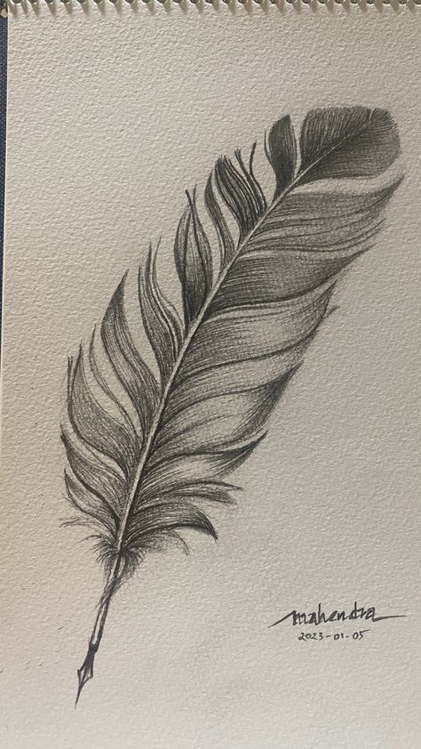 Feather Drawing Biro, Realistic Feather Drawing, Bird Feather Painting, Drawing A Feather, Feather Sketch Pencil, Duck Feather Drawing, Sketching Ideas Pencil Nature, Bird Feathers Drawing, Feather Texture Drawing