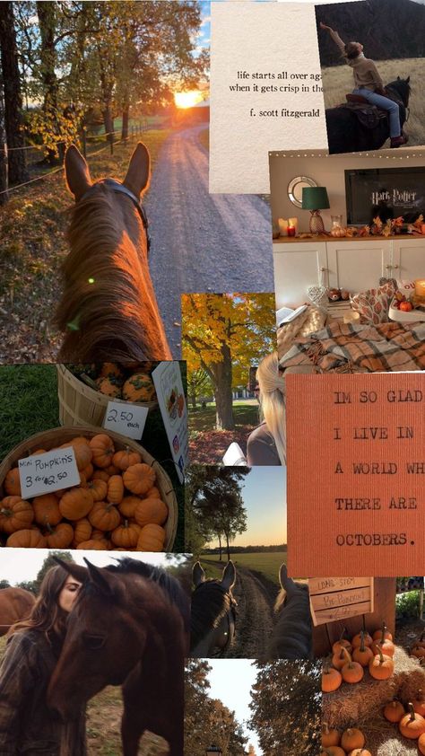 equestrian fall inspo Equestrian Fall Aesthetic, Autumn Equestrian Aesthetic, Western Equestrian Aesthetic, Halloween Horse Wallpaper, Fall Horse Wallpaper, Autumn Horse Aesthetic, Equestrian Mood Board, Equestrian Aesthetic Wallpaper, Autumn Horse