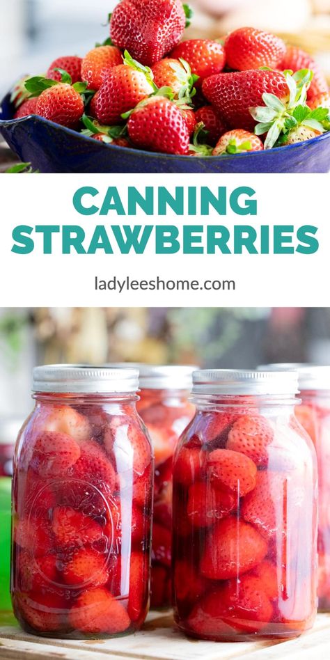 Canning Strawberries: Canning Fruit Recipes - Are you looking for a way to preserve strawberries this summer? Canning strawberries is a great way to enjoy the flavor of summer's sweet treats all year. With just two ingredients and a few easy steps, you can learn how to can strawberries the easy and healthy way! From preparing the fruit to water bath canning the jars, this home canning recipe will walk you through everything you need to know to start preserving strawberries. Strawberry Recipes Canning, Canning Strawberries, Preserve Strawberries, Canning Fruit Recipes, Diy Canning, Canned Strawberries, Canning Kitchen, Strawberry Salsa, Canning Fruit