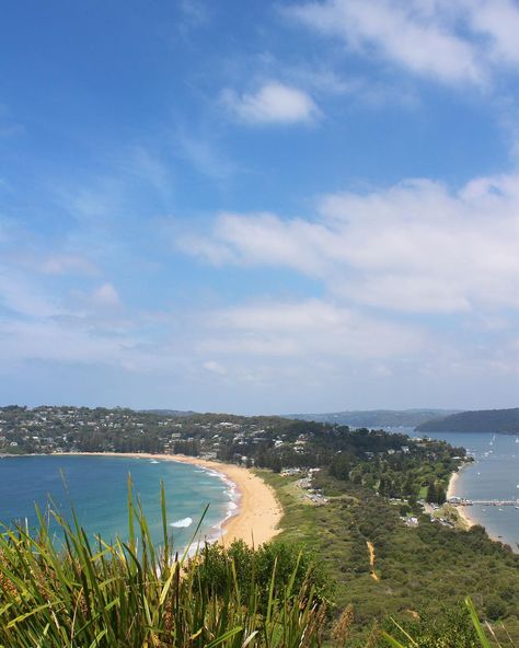 𝔻𝕠𝕟𝕚𝕜𝕒 on Instagram: “Palm Beach #palmbeach #palmbeachnsw #studyabroad #sydney #gostralia #australia” Palm Beach Nsw, Hospital Workers, Sydney Australia, Study Abroad, Palm Beach, Sydney, Instagram Profile, Australia, Water