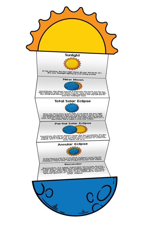 An infographic illustrating different types of solar eclipse activities and the alignment of the sun, earth, and moon during each event for elementary students. via @lisalightner Eclipse Activities, Teacher Collaboration, Sun Activity, Solar System Worksheets, Solar Eclipse Activity, Steam Kids, Mathematics Activities, Solar Eclipse Glasses, Math Activities For Kids