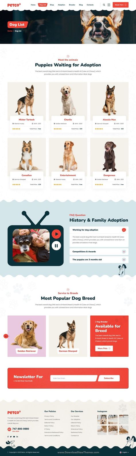 Petco - Pet Breeder & Adoption HTML5 Template is a clean, elegant and modern design responsive premium bootstrap template for pet breeder, animal adoption, pet care, pet food shop, kennel club, pet grooming center, veterinary or any animal related service and business professional website with 2 niche homepage layouts, 10+ pre-designed inner pages and tons of amazing features. It is build with HTML, CSS and latest bootstrap framework to download now & live preview click on image 👆 Animal Shelter Website Design, Animal Adoption Website Design, Pet Adoption Website Design, Pet Website Design, Adoption Website, Pet Websites, Pet Food Shop, Dog Dna Test, Pet Adoption Center