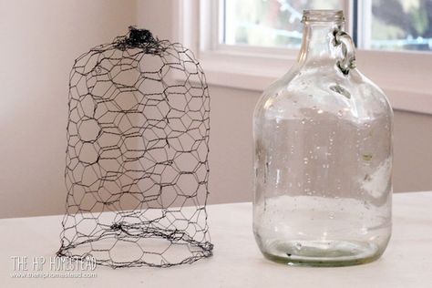 Chicken Wire Cloche, Chicken Wire Projects, Chicken Wire Diy, Garden Cloches, Wire Cloche, Cold Climate Gardening, Chicken Wire Sculpture, Chicken Wire Art, Chicken Wire Crafts