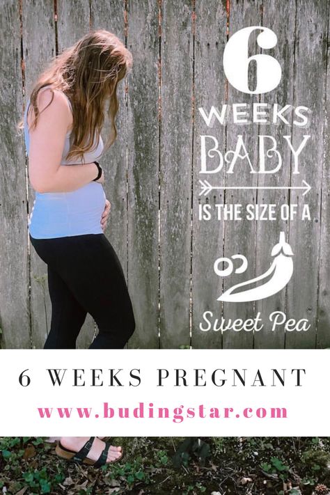 #6weeks pregnant is about one month and one week #pregnant . You will observe #pregnancysymptoms like frequent urination, tender breasts, #tiredness or #fatigue , #morningsickness like #vomiting , #moodswings , gas and #bloating . 6weeks Pregnant, One Week Pregnant, 6 Weeks Pregnant Belly, Pregnancy Week 6, Pregnancy Due Date Calculator, First Week Of Pregnancy, 6 Weeks Pregnant, Pregnancy Due Date, Lower Abdominal Pain