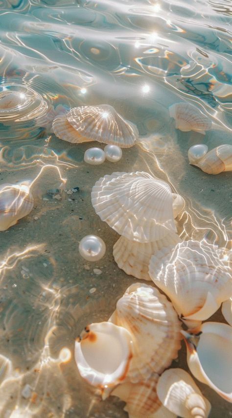 Underwater Iphone Wallpaper, Cute Summer Aesthetic Wallpaper, Sea Shell Aesthetic Wallpaper, Pretty Beach Pictures, Summer 2024 Aesthetic, Summer Backgrounds Aesthetic, Cute Beach Wallpapers, Mermaid Core Wallpaper, Pretty Pictures Aesthetic