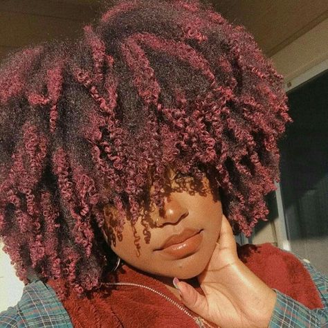 Afro Hair Dye, Magenta Hair, Hair Color Burgundy, Dark Red Hair, Bright Red Hair, Natural Afro Hairstyles, Pelo Afro, Dyed Natural Hair, 4c Natural Hair