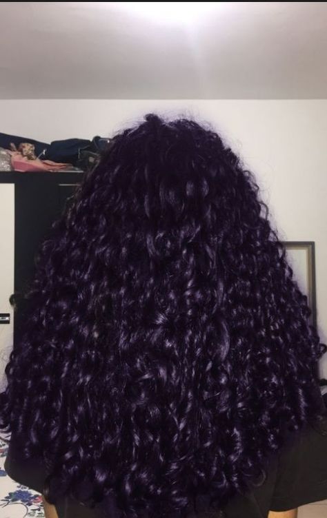 Dark Purple Hair Color On Black Women, Dark Purple Straight Hair, Colors To Dye Hair For Brunettes, Dark Purple On Curly Hair, Curly Hair Dye Purple, Dark Dyed Curly Hair, Curly Hair Dark Purple, Midnight Dark Blue Hair Curly, Dark Purple Curly Hair Black Women