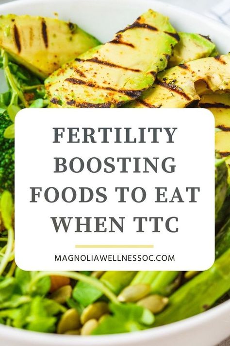 Want to get pregnant quick? Add these fertility super foods to your diet to improve your fertility health. Eating foods that promote fertility when you are trying to conceive can increase egg quality, improve sperm count, balance hormones and boost your chances of IVF success. Magnolia Wellness OC | Natural Fertility, Holistic Health & TCM Fertility Superfoods, Foods To Get Pregnant, Ivf Diet, 1200 Calorie Diet Meal Plans, Fertility Smoothie, Chances Of Pregnancy, Egg Quality, Fertility Foods, Fertility Health