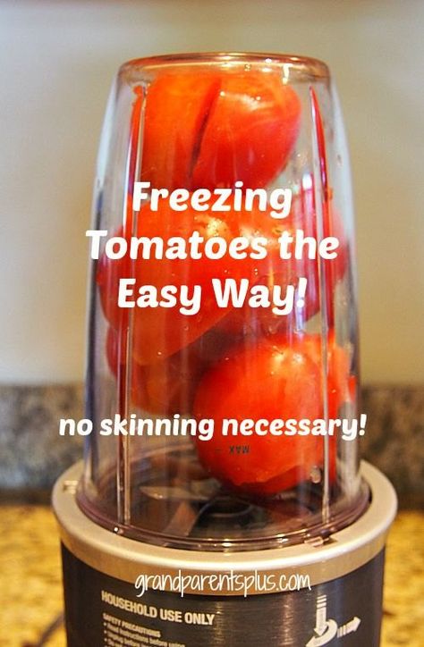 Freeze Veggies, Tomato Sauces, Bullet Recipes, Freezing Tomatoes, Zucchini Quiche, Freezing Vegetables, Freezing Fruit, Tomato Recipe, Freezing Food