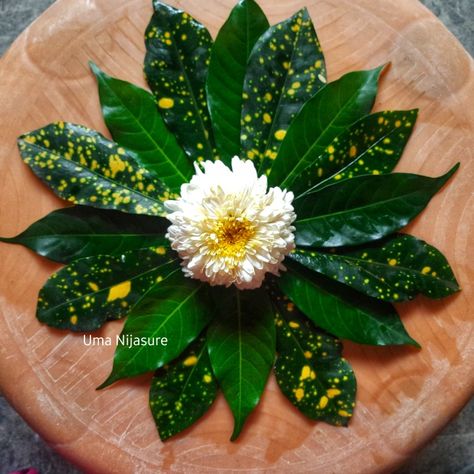 Onam Decor, Bengali Festival, Hawaiian Flower Arrangements, Onam Pookalam Design, Onam Pookalam, Nature Mandalas, Pookalam Design, Pooja Decor, Nature Mandala