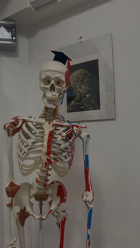 Human Skeleton Aesthetic, Skeleton Asthetic Picture, Skeleton Pics, Skeleton Body, Uni Style, Best Study Tips, Driving Pictures, Send Money, Cute Couple Images