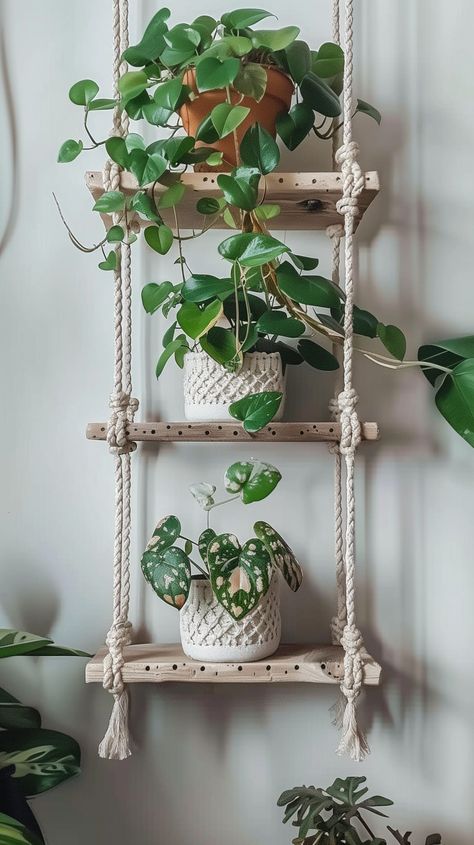 Plant Shelf Design Ideas - Remodr Macrame Hanging Shelves, Macrame Hanging Plants, Macrame Shelves, Stylish Shelves, Maroon Walls, Wall Hanging Decorations, Macrame Hanging Shelf, Indoor Plant Wall, Hanging Wall Planters