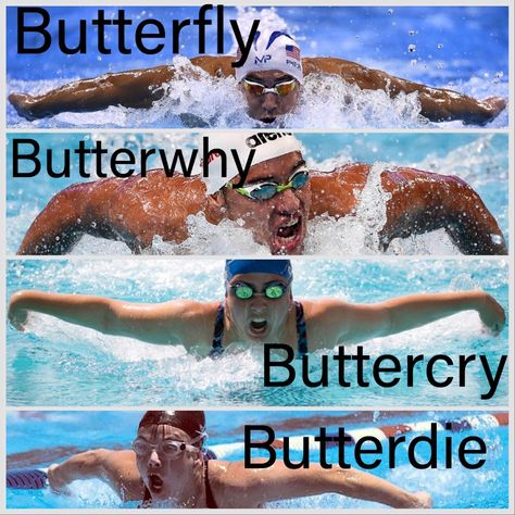 Swimmers Memes, Swim Memes Funny, Swim Team Pictures, Competitive Swimming Pictures, Swimming Butterfly, Swim Team Quotes, Swim Problems, Swimming Body, Swimmer Memes