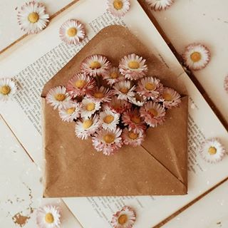 Vision Board Themes, Book Flatlay, Flat Lay Inspiration, Book Photography Instagram, Photography Themes, Blog Pictures, Photography Wallpaper, Jolie Photo, Aesthetic Images