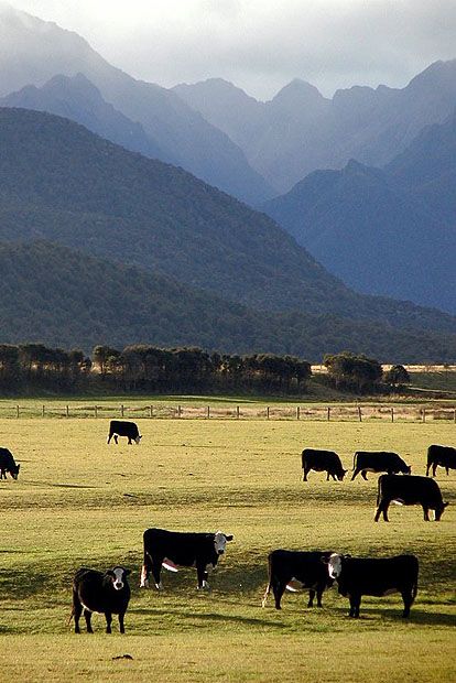 Foreground Middleground Background, Wildlife Photography Tips, Rural Photography, Best Landscape Photography, Mountain Landscape Photography, Beautiful Landscape Photography, Fine Art Landscape Photography, Outdoor Photographer, Landscape Photography Tips