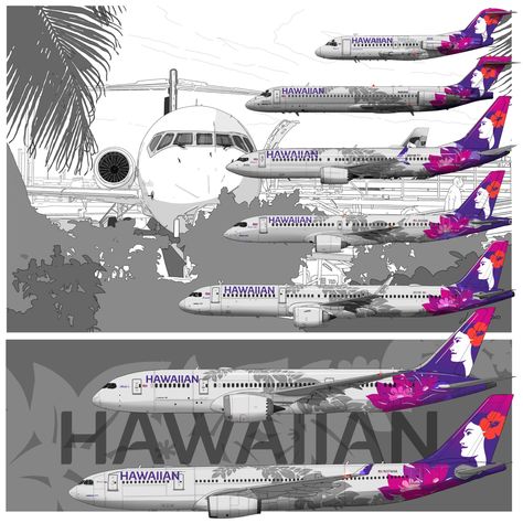 Airline Jobs, Hawaiian Airlines, All Airlines, Alaska Airlines, Good Vocabulary Words, Good Vocabulary, Air Lines, Aircraft Pictures, Picture Design