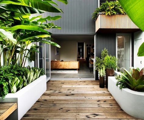 A small tropical garden with low-maintenance plants Garden Design Ideas On A Budget, Small Tropical Gardens, Tropical Garden Design, Homes To Love, Australian Garden, Garden Design Layout, Garden Design Plans, Low Maintenance Plants, Tropical Landscaping