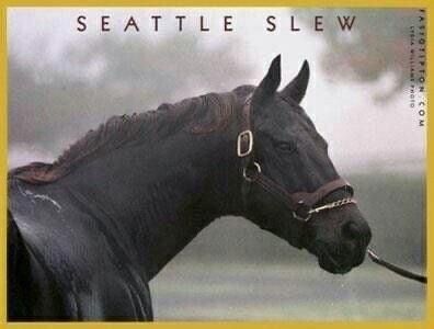 Throughbred Horses, Seattle Slew, Majestic Horses, Thoroughbred Horse Racing, Horse Inspiration, Sport Of Kings, Race Horses, Thoroughbred Horse, All The Pretty Horses