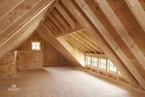 Garage With Attic, Dormer Above Garage, Dormers Over Garage, Garage Dormer, Garage With Dormers, Garage Dormer Addition, A Frame Dormer Addition, Adding Loft Above Garage, Garage Dormer Ideas