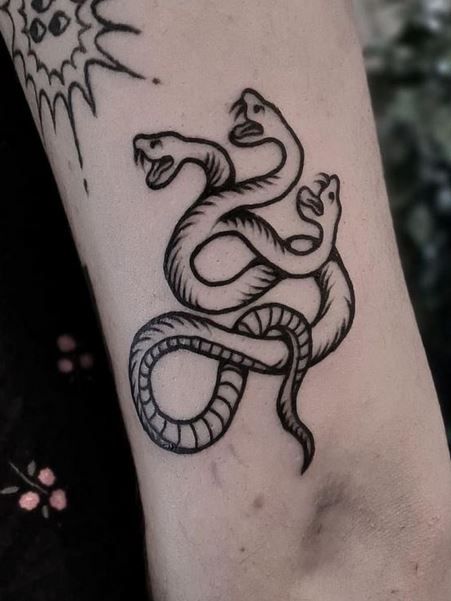 King Cobra Tattoo, Snake Tattoo Meaning, Find Illustration, Traditional Snake Tattoo, Berlin Tattoo, Cobra Tattoo, Serpent Tattoo, Snake Tattoo Design, Tattoo Artwork