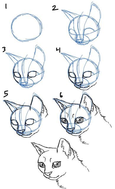 How to Draw Cat Faces/Heads- 3/4 View Cat Face Drawing, Draw Cat, Cat Faces, Art Instructions, Arte Animal, Drawing Lessons, Drawing Tutorials, Cat Face, Cat Drawing