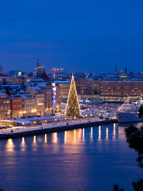 Christmas markets in Sweden- the image shows the big christmas tree by night in Stockholm. Christmas In Scandinavia, Swedish Christmas Food, Christmas In Sweden, Gothenburg Archipelago, Stockholm Old Town, Sweden Aesthetic, Sweden Christmas, Train Trips, Swedish Traditions