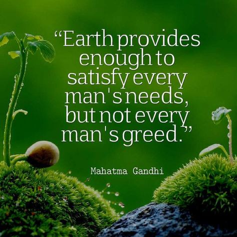 Greed Quotes, Ghandi Quotes, Environmental Quotes, Save Mother Earth, About Earth, Mahatma Gandhi Quotes, Gandhi Quotes, Mr Wonderful, Dalai Lama