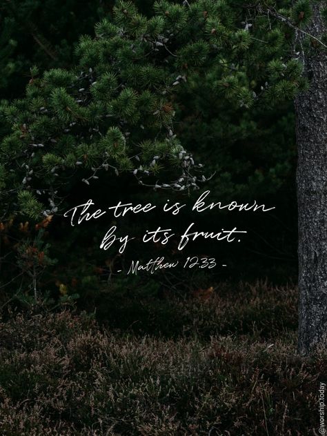 Bible Verse About Trees, Fruitfulness Bible, Fruit Quotes Inspirational, Fruitful Quotes, Tree Bible Verse, Yeshua Quotes, Fruit Quotes, Tree Quotes, Cute Bibles