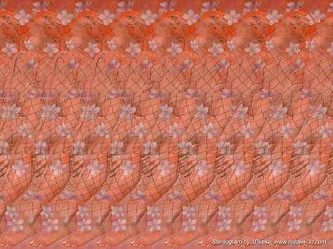 Hidden 3d Images, 3d Stereograms, Magic Eye Pictures, Eye Illusions, Eye Images, 3d Photography, Hidden Images, Eye Pictures, Eyes Wallpaper