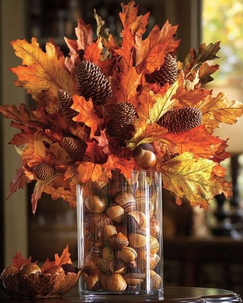 Lady fills Dollar Store glass vases with acorns and leaves. This centerpiece screams fall elegance! Fall Acorns, Old Glass Bottles, Rustic Table Runners, Halloween Centerpiece, Clear Vase, Colored Sand, Artificial Leaf, Fall Tablescapes, Mini Ornaments